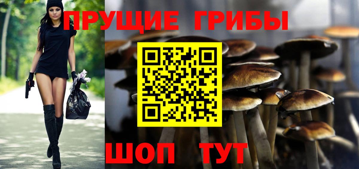ГАШ Новочебоксарск